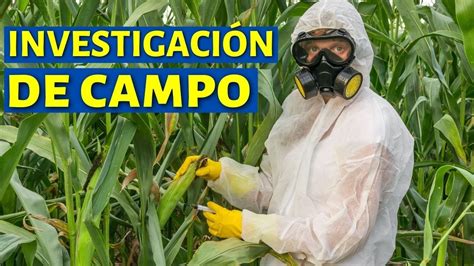 ¿qué Es La InvestigaciÓn De Campo Y Cuáles Son Sus Características