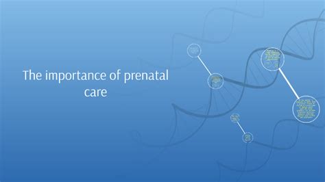 The Importance Of Prenatal Care By Jessica Doucette