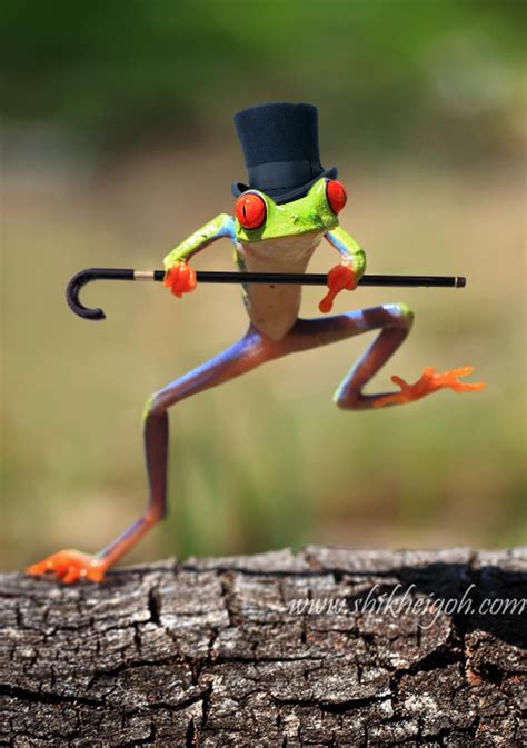 Frog wallpaper drawing wallpaper cute anime wallpaper wallpaper iphone cute cute cartoon wallpapers pretty wallpapers aesthetic iphone wallpaper aesthetic wallpapers wallpaper tumblr is a place to express yourself, discover yourself, and bond over the stuff you love. dancing frog on Tumblr