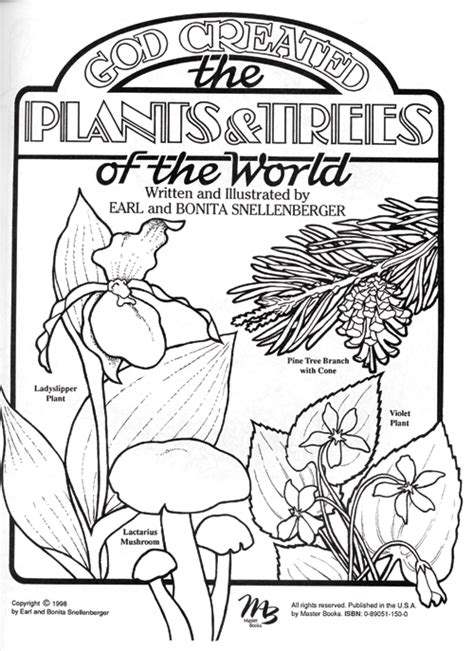 Or sometimes you just need to fill in those last five minutes before the end of class. God Created the Plants/Trees of the World | Creation Today