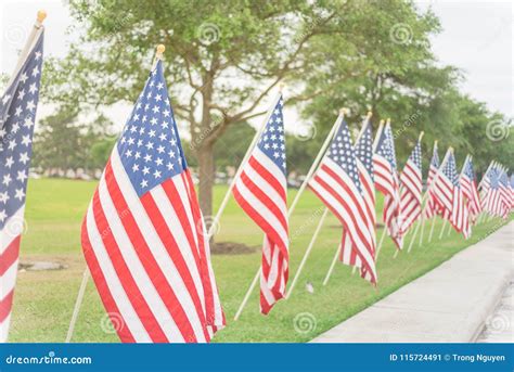 Long Row Of Lawn American Flags On Green Grass Yard Memorial Day Stock