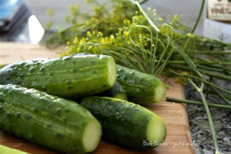 Pickles do more than add a crunchy, tangy bite to your favorite sandwich or burger. The Art of Pickle » Just a Smidgen