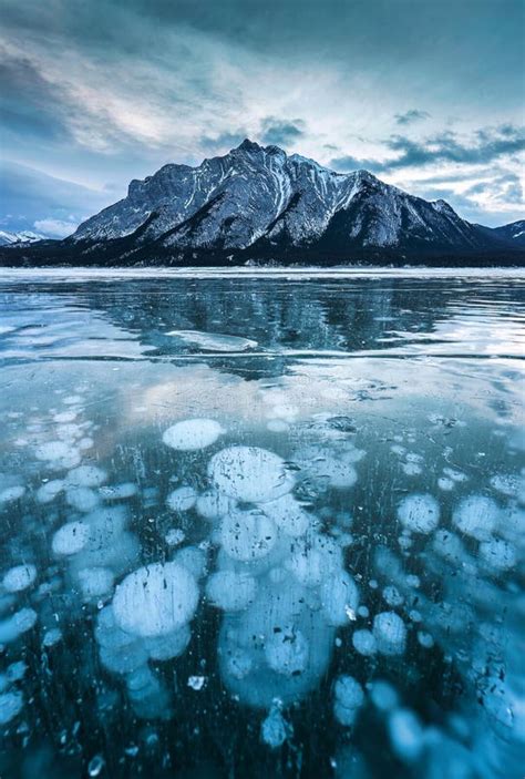 Frozen Abraham Lake With Rocky Mountains And Natural Bubbles Frost In