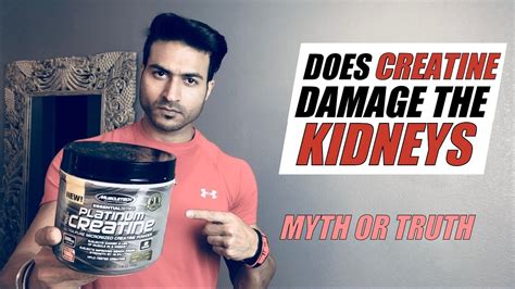 Does Creatine Damage The Kidney Myth Or Truth Deep Explanation By