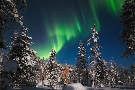Northern Lights Tour From Rovaniemi With Lappish Picnic Rovaniemi