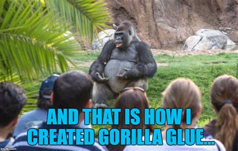 Gorilla Glue Memes And S Imgflip