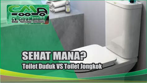 Lebih Sehat Mana WC Jongkok VS Duduk Jasa Sedot WC Profesional