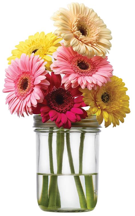Maybe you would like to learn more about one of these? JarWare Mason Jar Flower Frog #82604