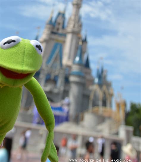 Hi Ho Its Off To Disney World Kermit And I Go ~ Trip Report Of Sorts