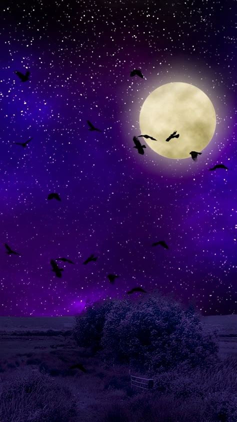 Download Wallpaper 1080x1920 Moon Moonlight Birds