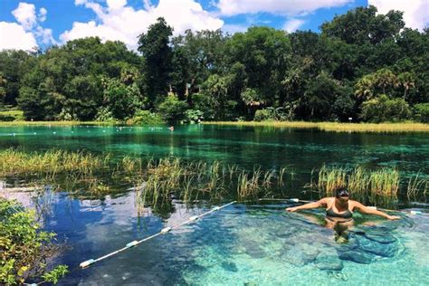 Of The Best Natural Swimming Spots In Central Florida Relaxing