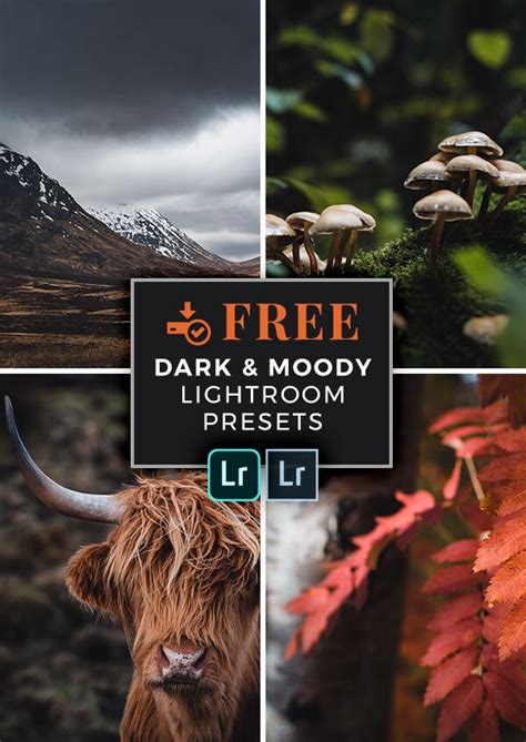 Create unique landscape and travel images with a dark and moody style in lightroom desktop and mobile. FREE Dark & Moody Lightroom Presets for Desktop & Mobile ...