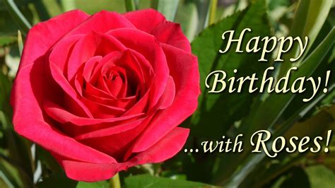 See more ideas about happy birthday, happy birthday flower, birthday flowers. Happy Birthday Song with Roses - beautiful flowers ...