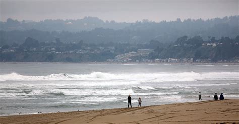 Shark Attack Kills Surfer In Northern California The New York Times