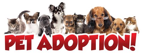 Pet Adoption Harvey Subaru Shreveport
