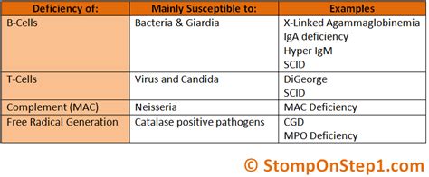 Immunodeficiency Digeorge Syndrome Scid Iga Deficiency Mpo