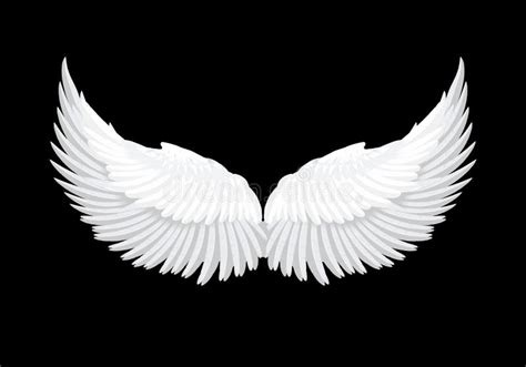 Vector Realistic White Angel Wings Stock Vector Illustration Of Booth