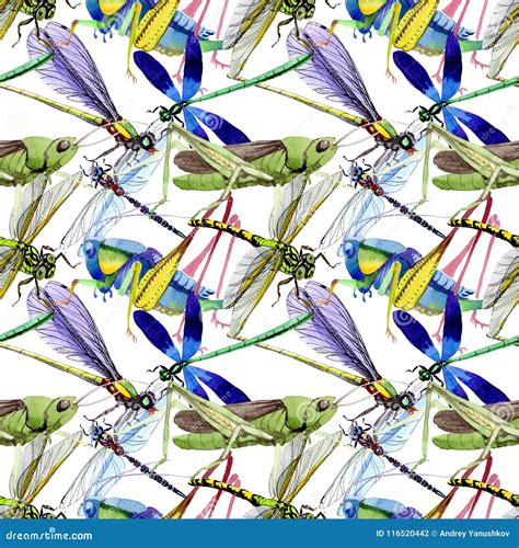 Exotic Crickets Wild Insect In A Watercolor Style Pattern Stock