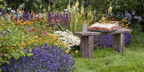 How To Have Year Round Colour In Your Garden Garden Planting Ideas
