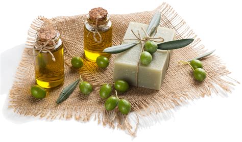 Virgin olive oil oil obtained only from the olive, the fruit of the olive tree, using solely mechanical or other physical means in conditions, particularly thermal conditions, which do not alter the oil in any way. Olive Oil in Soap Making - Properties + Recipes - Lovin ...