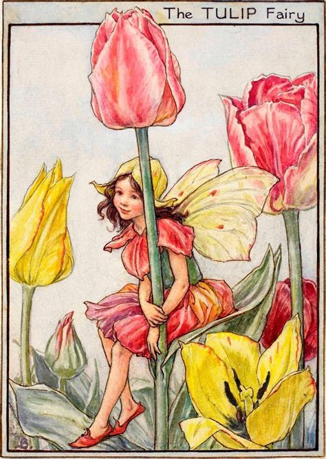 Tulip Fairy Cicely Mary Barker Flower Fairies Of The Garden Flower