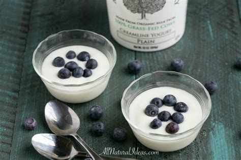 If you're following my blog then you are most likely into a sugar free diet and many of you are also low carb. Low Carb Yogurt on Keto: What Kind Is Best? | All Natural ...