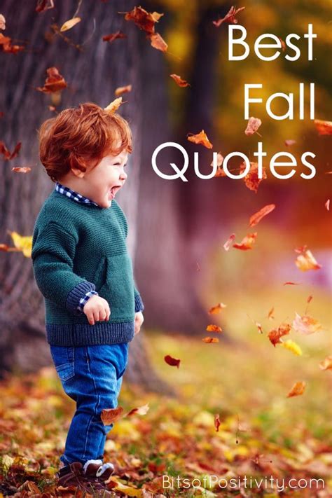 Best Fall Quotes Favorite Seasonal Inspiration Little Boy Quotes