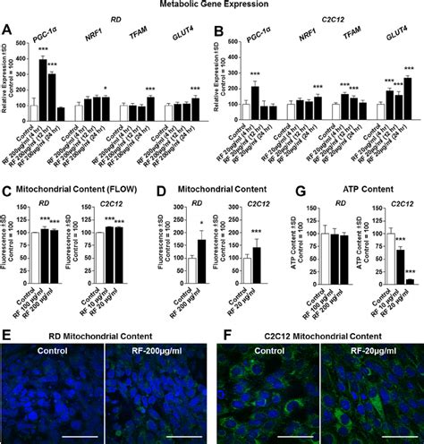 Metabolic Gene Expression A Gene Expression Of RD Cells Treated With