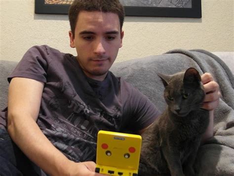 Marty The Real Life Nyan Cat Passes Away The Daily Dot