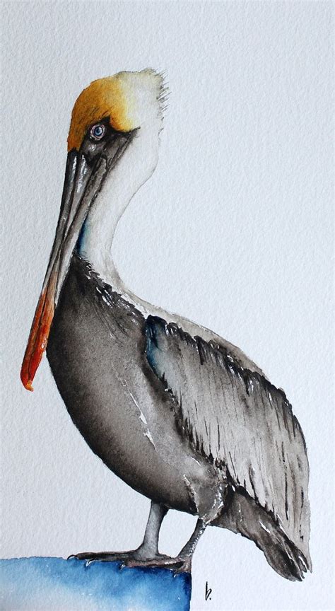 Original Watercolor Painting Bird Art Brown Pelican By Betty Moore