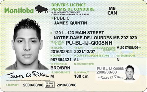 Manitoba Drivers Handbook Manitobas One Piece Drivers Licence