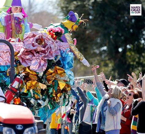 southern mardi gras traditions you might not know about southern kitchen