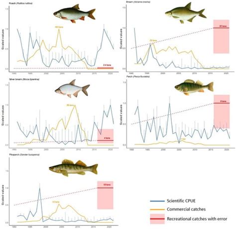 Fishes Free Full Text Impacts Of Recreational Angling On Fish