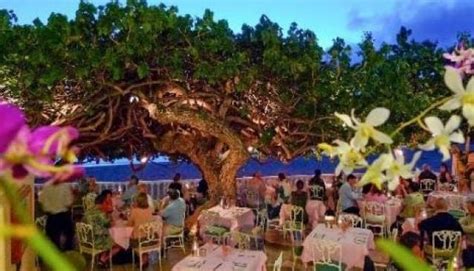 Hau Tree Lanai Restaurant In Hawaii