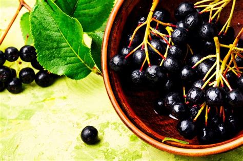 8 Healthy Delicious And Safe Wild Berries You Can Eat Healthy Foods Mag