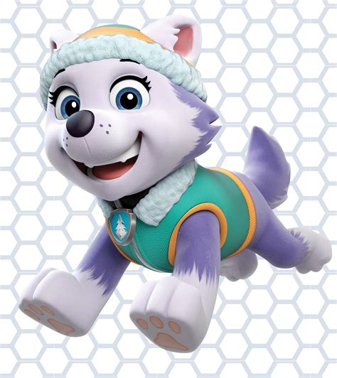 Which Paw Patrol Dogs Are Female