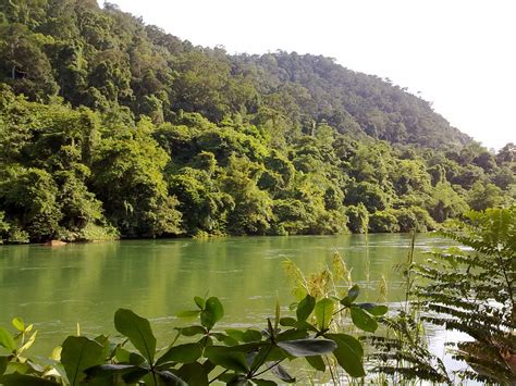 Tasik Semulajadi Terbesar Di Malaysia Adalah Pendidikan Sepanjang