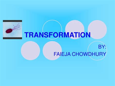 Ppt Transformation Powerpoint Presentation Free Download Id3996533