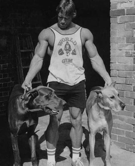 Arnold Schwarzenegger With Dogs Golden Era Of Bodybuilding Golden Gym