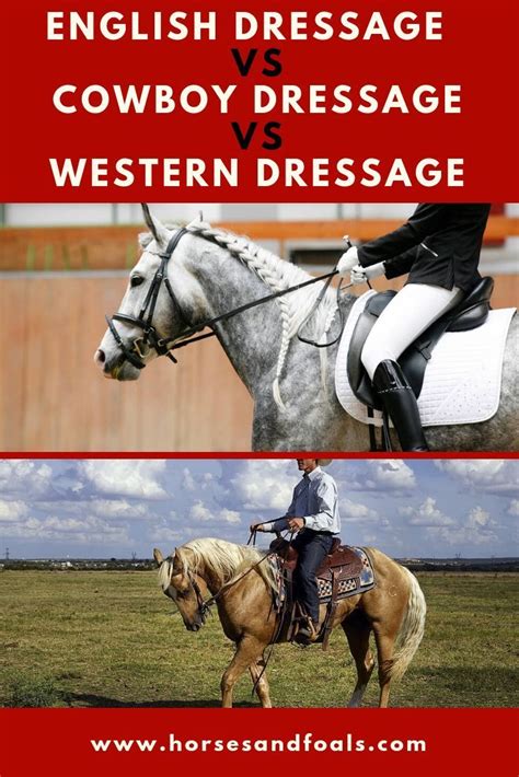 Cowboy Dressage Vs Western Dressage Vs English Dressage With Images