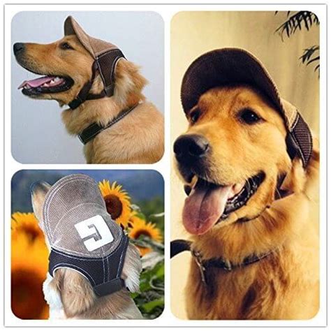 27 Funny Dogs In Hats Caps And Visors √ Photos And Videos Homemade Diy