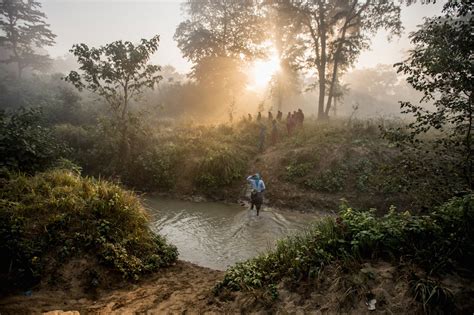 Le Donne A Guardia Della Biodiversità In Nepal Le Foto In Un Reportage Del Wwf Lifegate