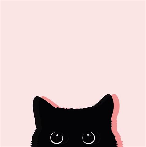 Cute Cat Aesthetic Wallpapers