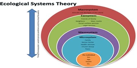 Bronfenbrenner's ecological systems theory has influenced the thinking of psychologists throughout the world ever since the scientist first put it forth, particularly in the field of child and youth care, where such models as the ecological onion, cube, and umbrella models have been based on. Ecological Systems Theory - Assignment Point