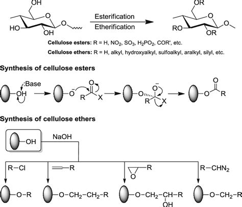 Synthetic Approaches For Cellulose Derivatives Download Scientific