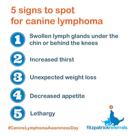 Lymphoma Top Tips On How To Recognise It And Help Your Dog Blog