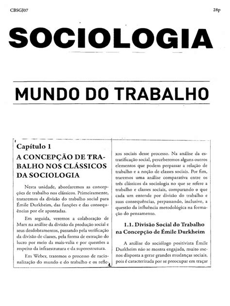 Sociologia Mundo Do Trabalho 28p Texto Pdf Karl Marx Émile