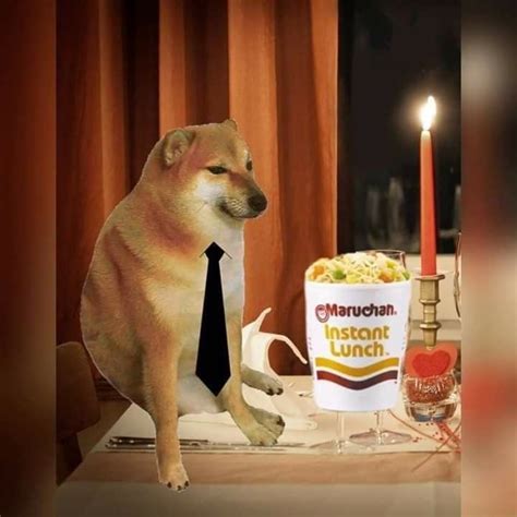 Chemms Izq In 2020 Cute Memes Funny Dog Memes Stupid