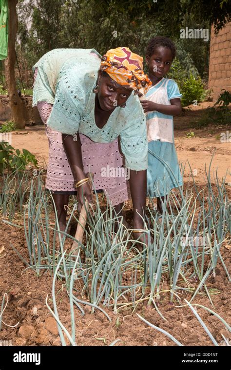Wolof Woman Senegal Hi Res Stock Photography And Images Alamy