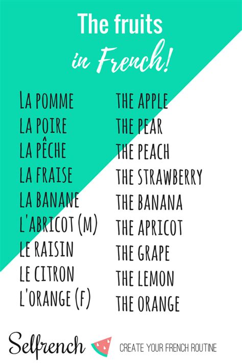 Pin By Steve Parker On French Learn French Free Learn French French
